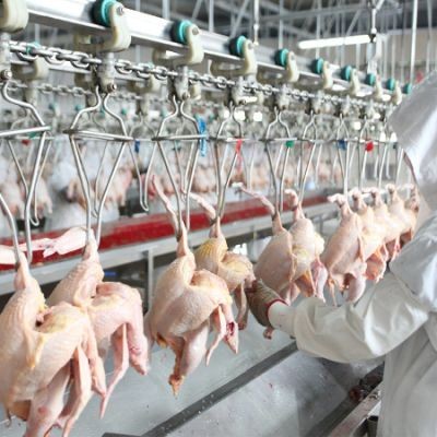 肉类食品加工