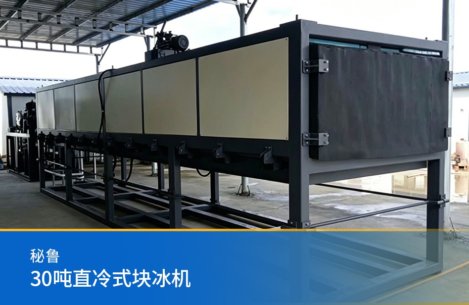 秘鲁-30吨直冷式块冰机